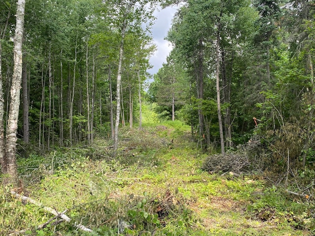 ParcelB County Road 35, Lake Jessie Twp, MN 56636 - photo 25