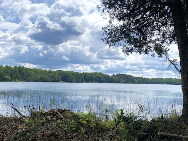 ParcelB County Road 35, Lake Jessie Twp, MN 56636 - photo 26