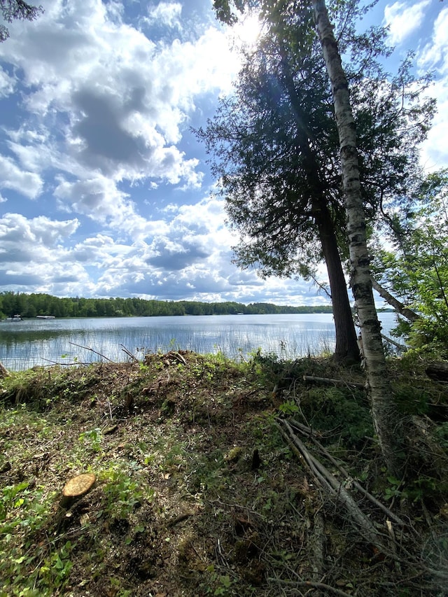 ParcelB County Road 35, Lake Jessie Twp, MN 56636 - photo 28