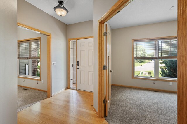 18628 Irvine Trl, Lakeville, MN 55044 - photo 4