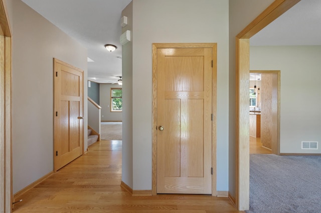 18628 Irvine Trl, Lakeville, MN 55044 - photo 5