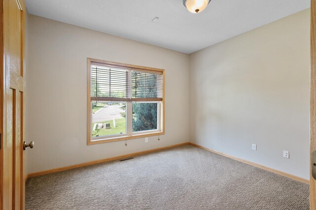 18628 Irvine Trl, Lakeville, MN 55044 - photo 6