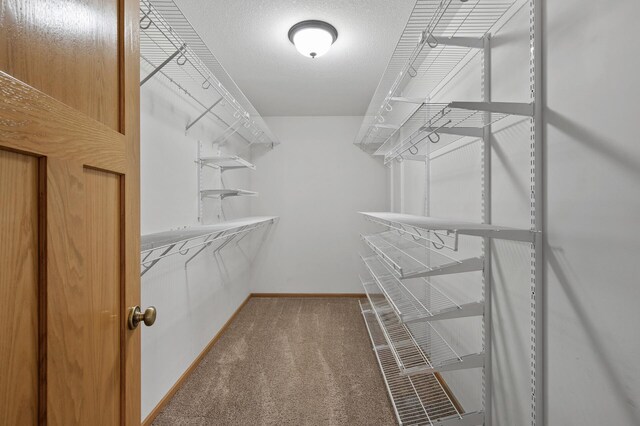 18628 Irvine Trl, Lakeville, MN 55044 - photo 34