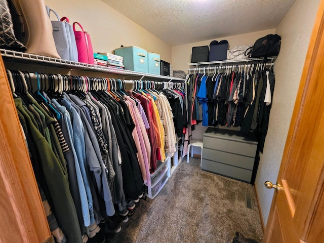 825 2nd Ave, Grand Rapids, MN 55744 - spacious closet featuring carpet