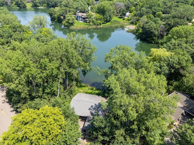 6905 Dakota Trl, Edina, MN 55439 - photo 42