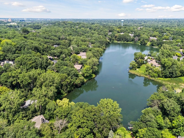 6905 Dakota Trl, Edina, MN 55439 - photo 44