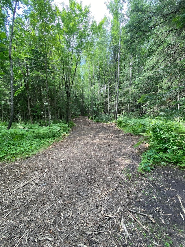 ParcelA County Road 35, Lake Jessie Twp, MN 56636 - photo 4