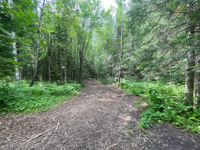 ParcelA County Road 35, Lake Jessie Twp, MN 56636 - photo 5