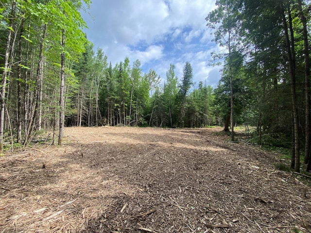 ParcelA County Road 35, Lake Jessie Twp, MN 56636 - photo 6
