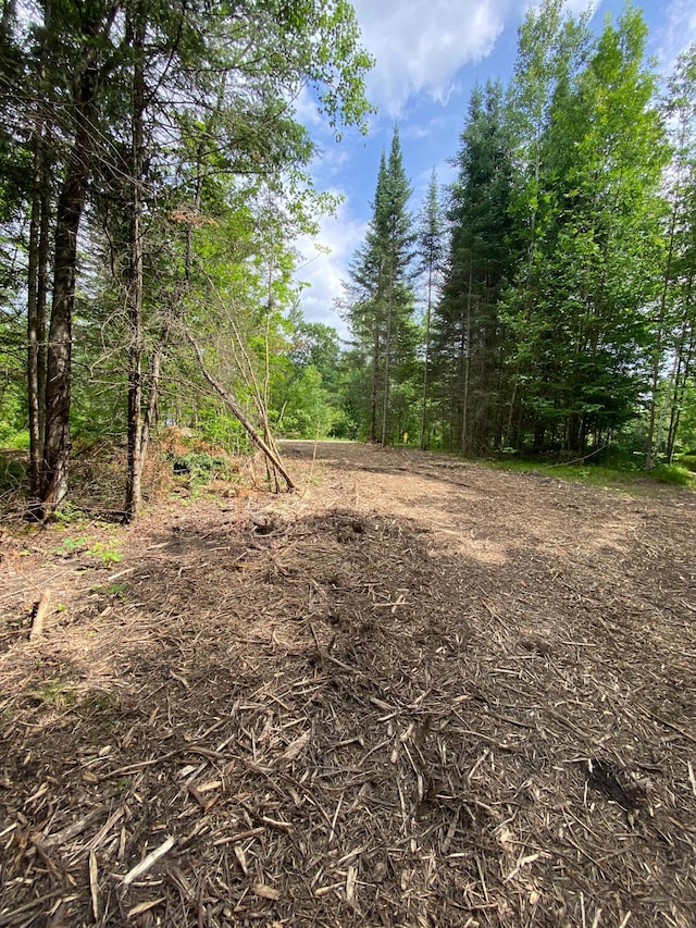ParcelA County Road 35, Lake Jessie Twp, MN 56636 - photo 8