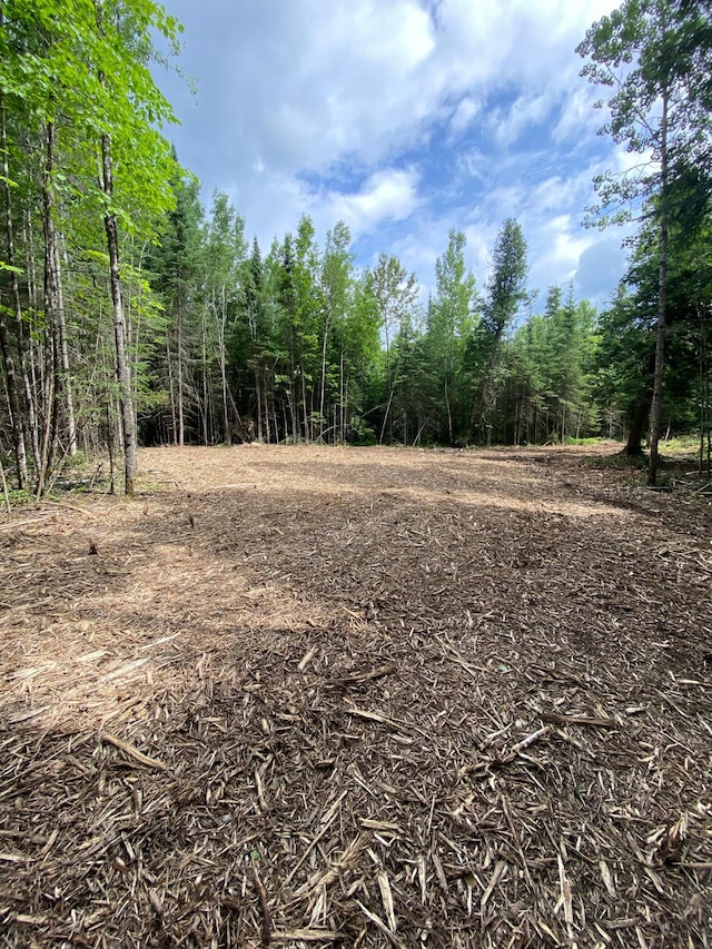 ParcelA County Road 35, Lake Jessie Twp, MN 56636 - photo 10
