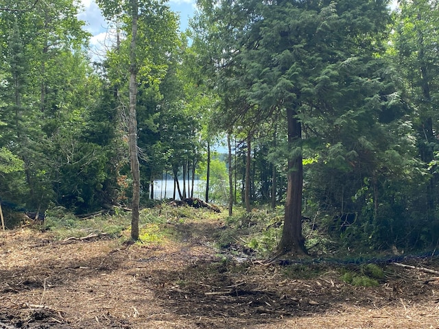 ParcelA County Road 35, Lake Jessie Twp, MN 56636 - photo 11