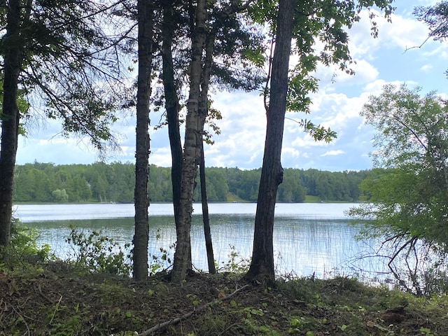 ParcelA County Road 35, Lake Jessie Twp, MN 56636 - photo 13