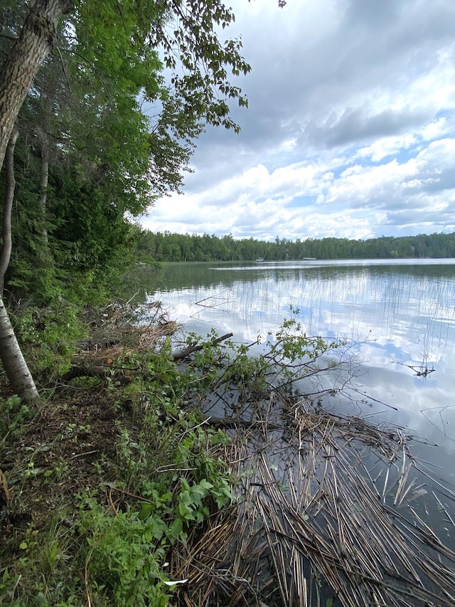 ParcelA County Road 35, Lake Jessie Twp, MN 56636 - photo 14