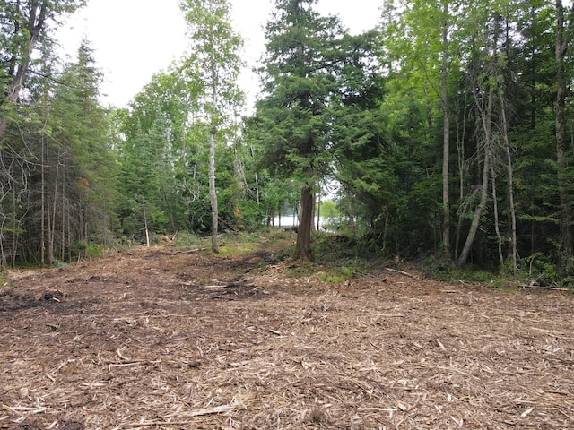 ParcelA County Road 35, Lake Jessie Twp, MN 56636 - photo 19