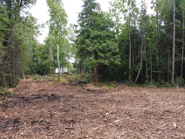 ParcelA County Road 35, Lake Jessie Twp, MN 56636 - photo 20