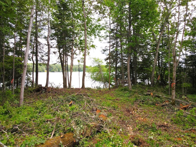 ParcelA County Road 35, Lake Jessie Twp, MN 56636 - photo 21