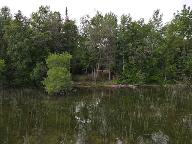 ParcelA County Road 35, Lake Jessie Twp, MN 56636 - photo 22