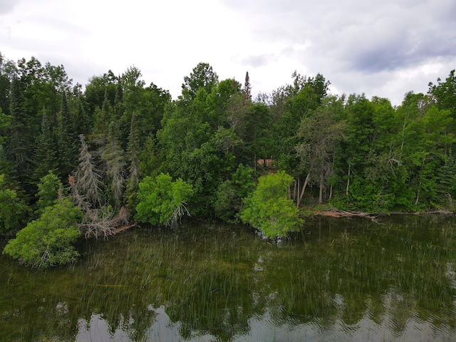 ParcelA County Road 35, Lake Jessie Twp, MN 56636 - photo 23