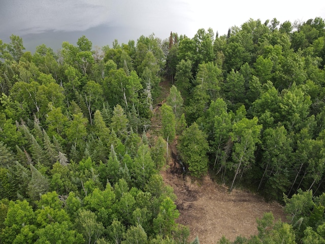 ParcelA County Road 35, Lake Jessie Twp, MN 56636 - photo 1
