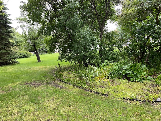 220 2nd St, Bird Island, MN 55310 - photo 19