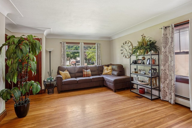 116 3rd Ave SE, Osseo, MN 55369 - living room featuring light wood-style flooring
