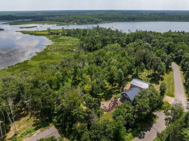33900 Pine View Ln, Crosslake, MN 56442 - photo 35
