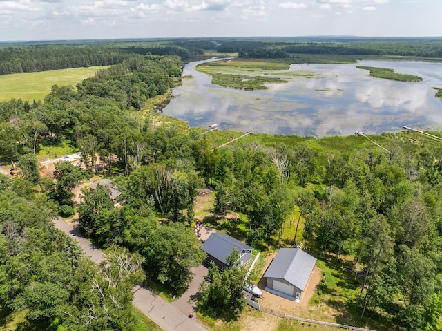 33900 Pine View Ln, Crosslake, MN 56442 - photo 36