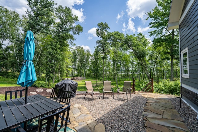 33900 Pine View Ln, Crosslake, MN 56442 - photo 2