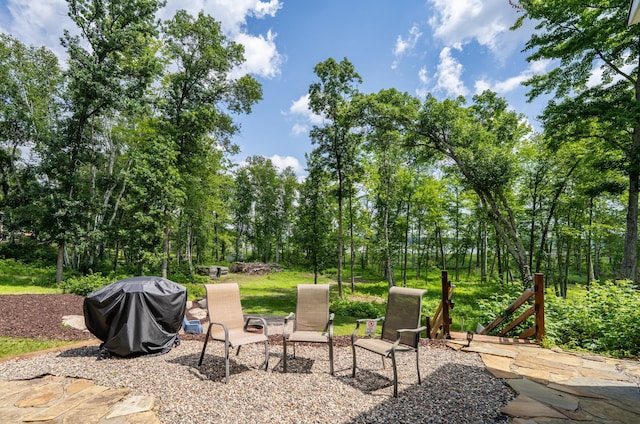 33900 Pine View Ln, Crosslake, MN 56442 - photo 27