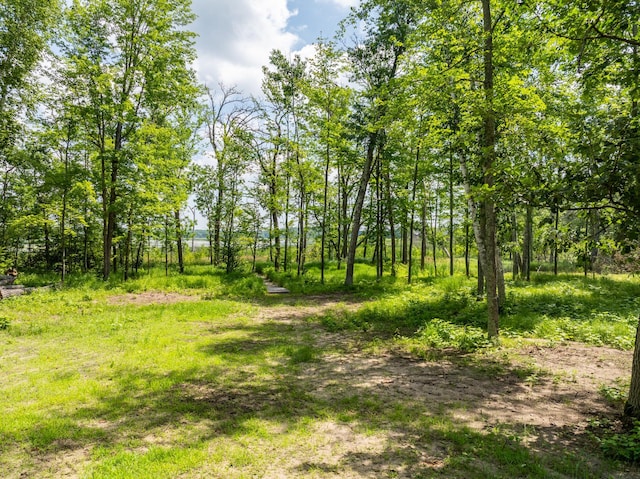 33900 Pine View Ln, Crosslake, MN 56442 - photo 31