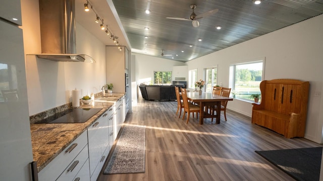 1650 Gunn Rd, Grand Rapids, MN 55744 - kitchen with wall chimney exhaust hood, ceiling fan, wood finished floors, lofted ceiling, and stone countertops