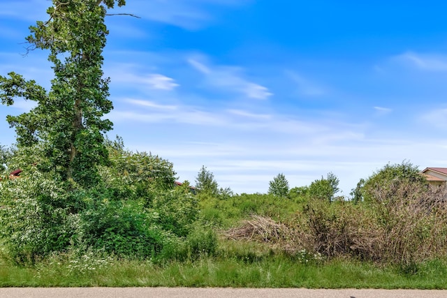 1031 23rd St Unit A, Prairie Lake Twp, WI 54728 - view of undeveloped land