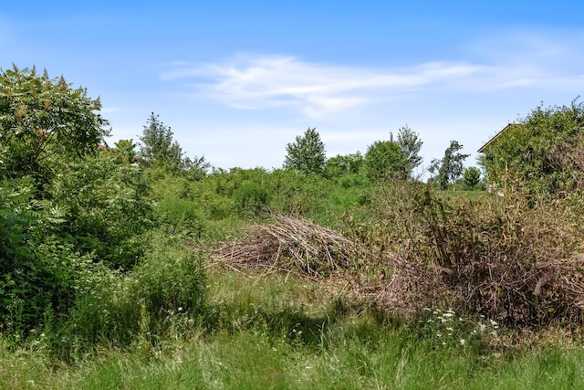1031 23rd St Unit A, Prairie Lake Twp, WI 54728 - view of undeveloped land