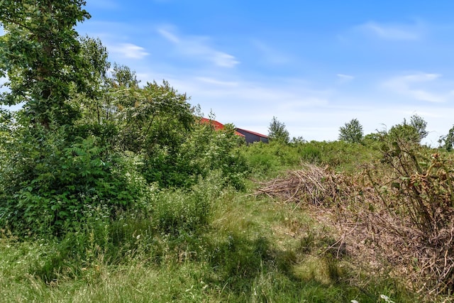 1031 23rd St Unit A, Prairie Lake Twp, WI 54728 - view of nature