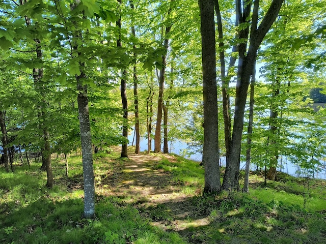 TBD 360th St, Stanley, WI 54768