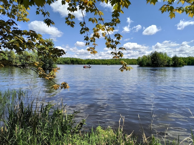 TBD 360th St, Stanley, WI 54768