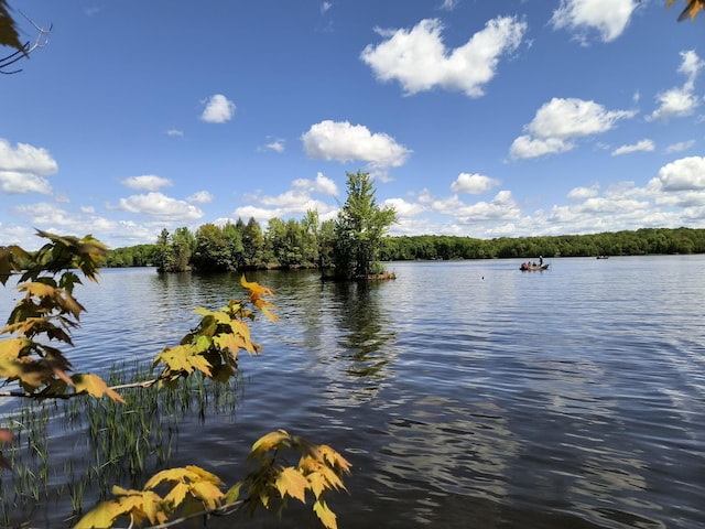 TBD 360th St, Stanley, WI 54768