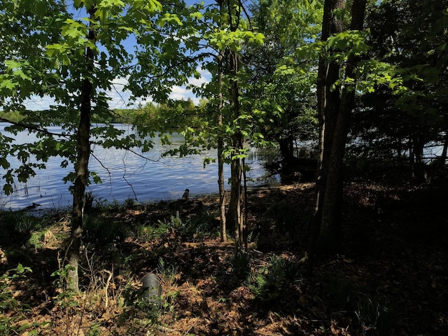 TBD 360th St, Stanley, WI 54768