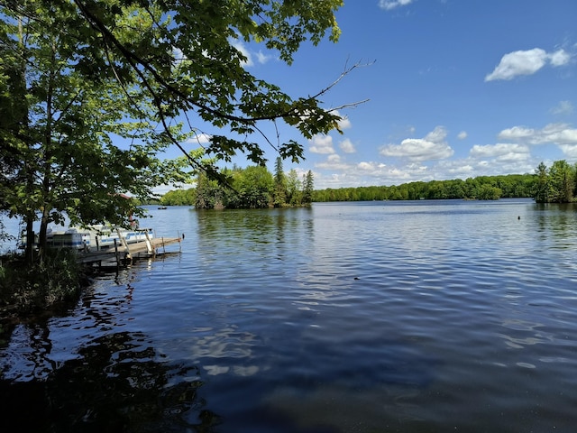 TBD 360th St, Stanley, WI 54768