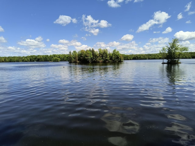 TBD 360th St, Stanley, WI 54768