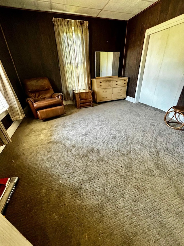 504 3rd Ave SE, Pipestone, MN 56164 - unfurnished room featuring wood walls and carpet floors