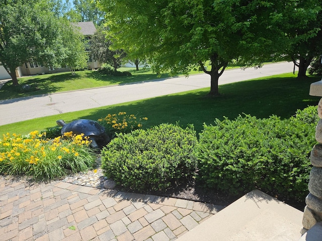 1504 4th St NE, Willmar, MN 56201 - view of green lawn