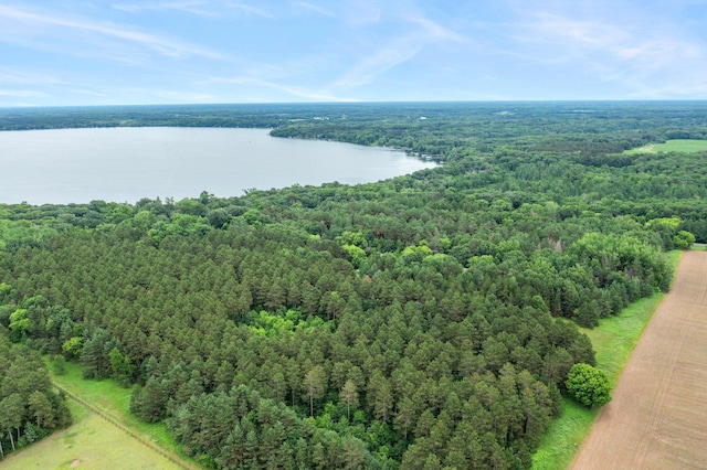 7535 335th Ave NW, Princeton, MN 55371 - bird's eye view of a heavily wooded area and a nearby body of water