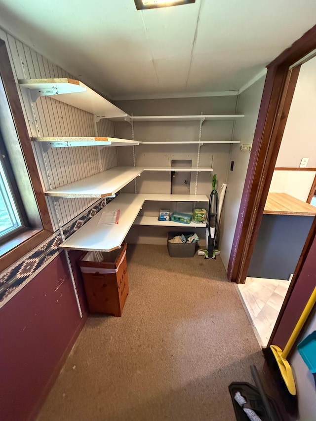 681 8th St, Walnut Grove, MN 56180 - view of storage room
