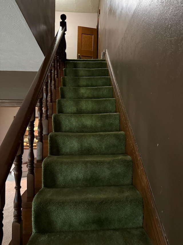 681 8th St, Walnut Grove, MN 56180 - stairway with carpet flooring