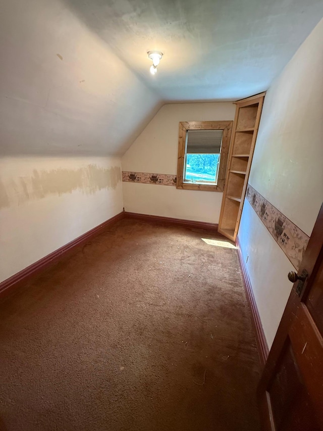 681 8th St, Walnut Grove, MN 56180 - additional living space featuring vaulted ceiling and carpet flooring