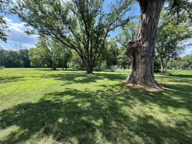 681 8th St, Walnut Grove, MN 56180 - view of green lawn