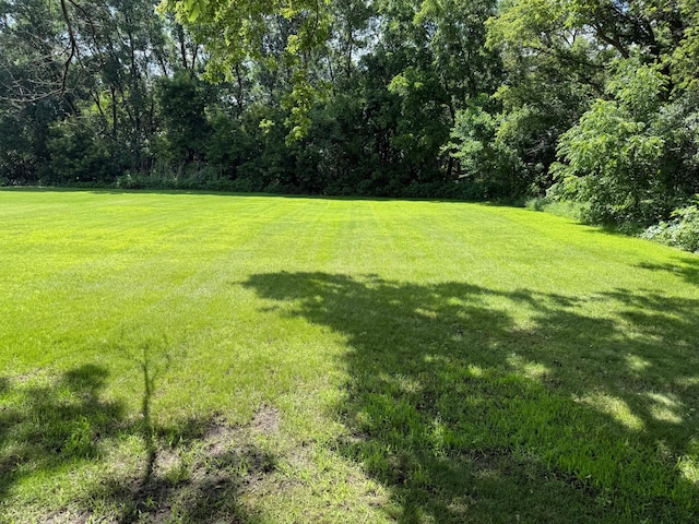 681 8th St, Walnut Grove, MN 56180 - view of grassy yard with a wooded view