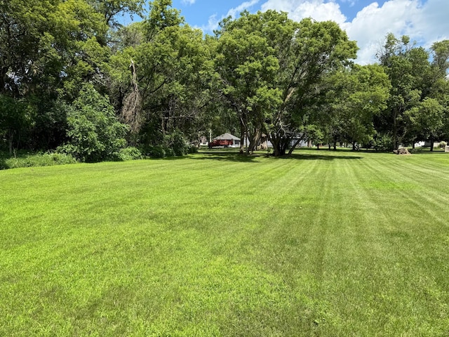 681 8th St, Walnut Grove, MN 56180 - view of green lawn